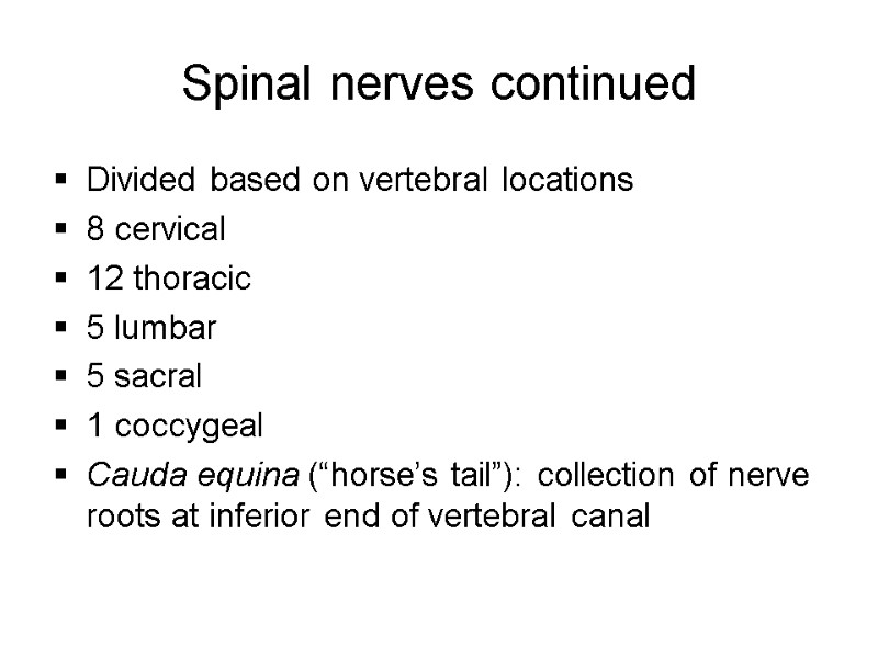 Spinal nerves continued Divided based on vertebral locations 8 cervical 12 thoracic 5 lumbar